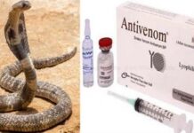 উপজেলা স্বাস্থ্য কমপ্লেক্সে অ্যান্টিভেনম সরবরাহের নির্দেশ হাইকোর্টের