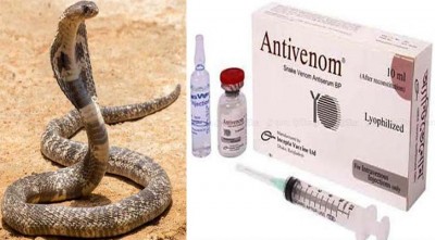 উপজেলা স্বাস্থ্য কমপ্লেক্সে অ্যান্টিভেনম সরবরাহের নির্দেশ হাইকোর্টের