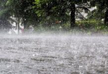 বৃষ্টিবলয় ‘স্পিড’ আসছে, ৭২ ঘণ্টায় ৬ বিভাগে ভারি বৃষ্টির শঙ্কা