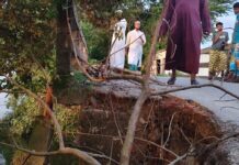 ঝুঁকিপূর্ণ রাস্তা: বাঞ্ছারামপুরে দুর্ভোগে হাজার হাজার মানুষ