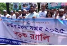 তিতাসে মাছের পোনা অবমুক্ত করে মৎস্য সপ্তাহ উদ্বোধন