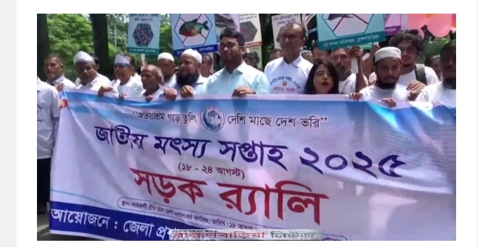 তিতাসে মাছের পোনা অবমুক্ত করে মৎস্য সপ্তাহ উদ্বোধন