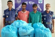 বিজয়নগরে ২৬ কেজি গাঁজাসহ দুই মাদক ব্যবসায়ী আটক