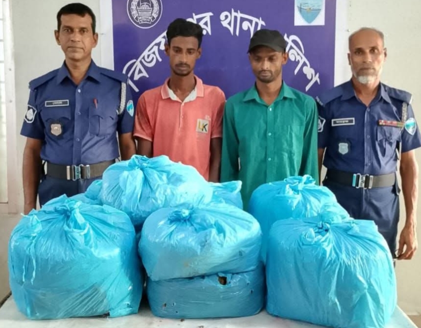 বিজয়নগরে ২৬ কেজি গাঁজাসহ দুই মাদক ব্যবসায়ী আটক