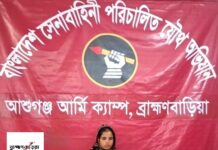 বিজয়নগরে ১২১০ পিস ইয়াবাসহ নারী মাদক কারবারি গ্রেপ্তার