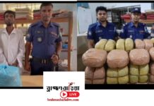 কসবায় পৃথক অভিযানে ৬৯ কেজি গাঁজা জব্দ, একজন আটক