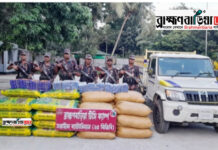২৫ বিজিবির অভিযানে মাদকসহ ভারতীয় পণ্য আটক, মূল্য ৭৪ লাখ টাকা