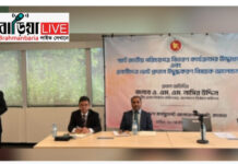 আগামী সংসদ নির্বাচনে প্রবাসীরা পোস্টাল ব্যালটে ভোট দিতে পারবেন: সিইসি