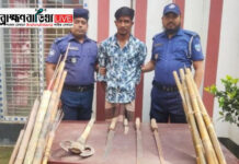 ব্রাহ্মণবাড়িয়ার নবীনগরে বিপুল পরিমাণ দেশীয় অস্ত্রসহ যুবক আটক