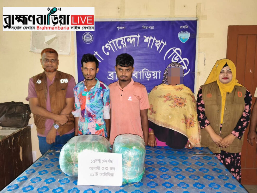 ডিবি পুলিশের অভিযানে ১০ কেজি গাঁজাসহ তিন মাদক কারবারি আটক