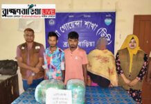 ডিবি পুলিশের অভিযানে ১০ কেজি গাঁজাসহ তিন মাদক কারবারি আটক