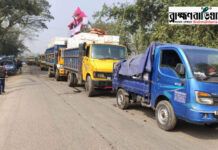 শারদীয় দুর্গোৎসব উপলক্ষে ত্রিপুরায় ইলিশ রপ্তানি শুরু, আখাউড়া স্থলবন্দরে অপেক্ষায় ২ টন ইলিশ