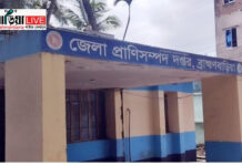 ব্রাহ্মণবাড়িয়ায় পোষা প্রাণীর জলাতঙ্কের ভ্যাকসিন সংকট: দুর্ভোগে মালিকরা