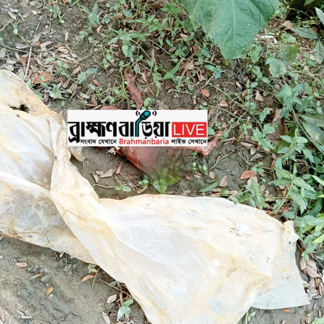 ব্রাহ্মণবাড়িয়ায় ঝোপ থেকে উদ্ধার ৭ মাসের নবজাতকের ছিন্নভিন্ন মরদেহ