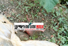ব্রাহ্মণবাড়িয়ায় ঝোপ থেকে উদ্ধার ৭ মাসের নবজাতকের ছিন্নভিন্ন মরদেহ