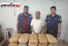 কসবায় প্রাইভেটকারসহ গাঁজা পাচারকারী গ্রেফতার