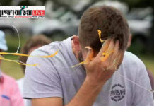 প্রতিবাদের প্রতীকী অস্ত্র: কেন ডিম ছুঁড়ে ক্ষোভ প্রকাশ করা হয়?