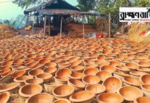 প্লাস্টিকের দাপটে নাসিরনগরে বিলুপ্তপ্রায় মৃৎশিল্প