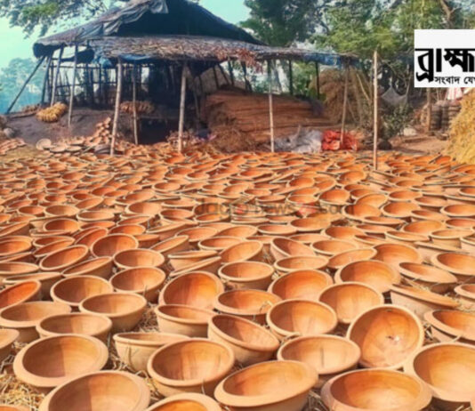 প্লাস্টিকের দাপটে নাসিরনগরে বিলুপ্তপ্রায় মৃৎশিল্প