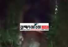 ব্রাহ্মণবাড়িয়ার নবীনগরে ধানক্ষেতে যুবকের মৃ*তদেহ উদ্ধার