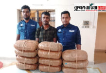বাঞ্ছারামপুরে মাদক বিরোধী অভিযান, ২২ কেজি গাঁজাসহ ১ জন গ্রেফতার