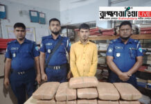 কসবায় ২২ কেজি গাঁজাসহ ১ জন গ্রেফতার