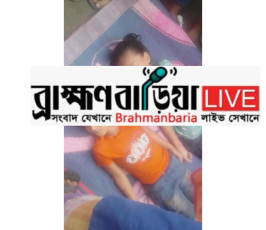 ছোট ভাইকে বাঁচাতে গিয়ে বড় বোনের সলিল সমাধি, নবীনগরে শোক