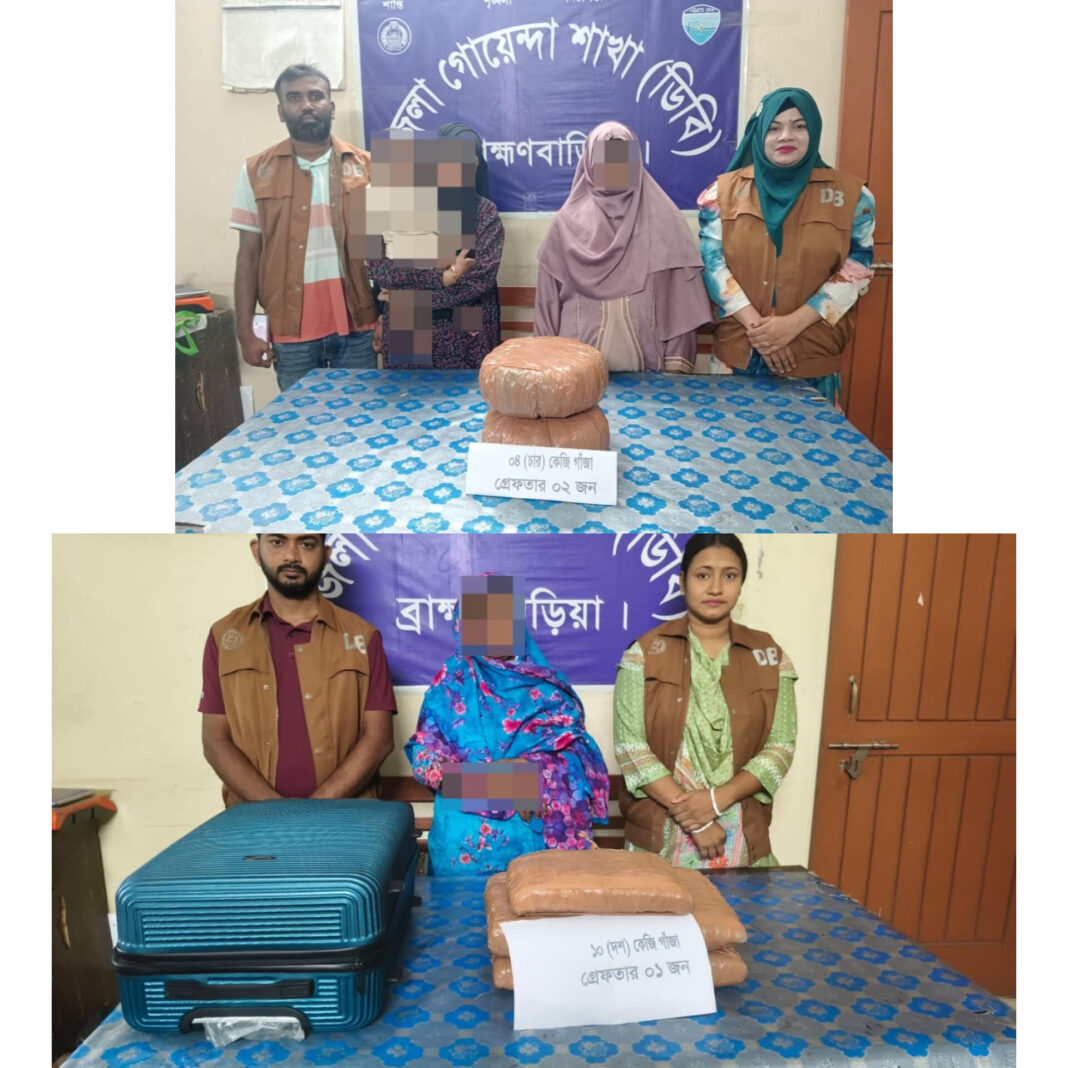ব্রাহ্মণবাড়িয়ায় ১৪ কেজি গাঁজাসহ ডিবি’র হাতে ৩ জন আটক