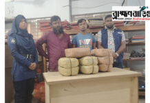 কসবায় ১৬ কেজি গাঁজাসহ ২ মাদক কারবারি গ্রেফতার