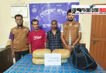 ডিবি’র জালে দুই মাদক কারবারী; ৭ কেজি গাঁজা ও অটোরিক্সা উদ্ধার
