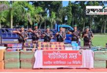 বিজয়নগরে বিজিবির জালে সাড়ে ৬ কোটির চোরাই পণ্য