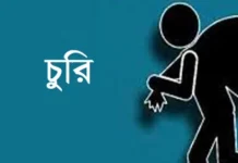 নবীনগরে ব্যবসায়ী ও ঠিকাদারের বাড়িতে লক্ষাধিক টাকার মালামাল চুরি