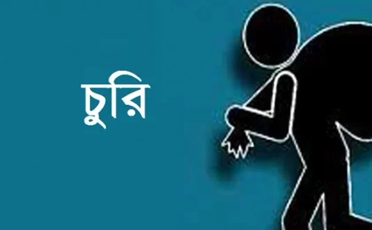 নবীনগরে ব্যবসায়ী ও ঠিকাদারের বাড়িতে লক্ষাধিক টাকার মালামাল চুরি