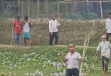 সরাইলে ৪ ঘণ্টার গ্রাম সংঘর্ষ: ফতেপুরে আহত অন্তত ৪০, ভাঙচুর